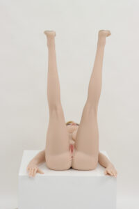 AB17 – Hybrid 153cm 60.24 M-CUP 34kg 74.96lbs Sex Doll Big Boobs Anime Sex Doll ABD-M153-0053 18