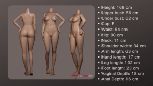 Alexa – Silicone 166cm 65.35 G-CUP 34kg 74.96lbs Sex Doll Big Boobs BDSM Sex Doll FWD-S166-0027 28