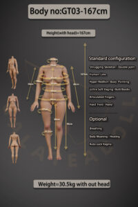 GT03 – Silicone 167cm 65.75 D-CUP 30.5kg 67.24lbs Sex Doll Big Booty Cosplay American Sex Doll GTD-S167-0009 4