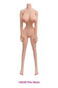 158CM-Thin-Waist.jpg.webp