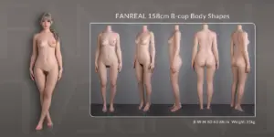 158cm-B-2.webp