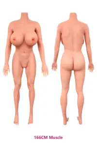 166CM-Muscle.jpg.webp