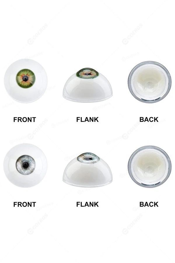 Sex Doll Eyes (45 Styles Premium Lifelike Eyes)