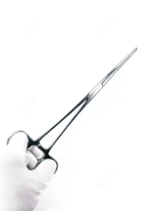 46.jpg-1.webp