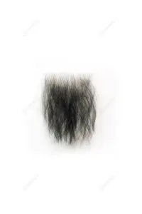 93.jpg.webp