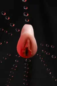 L-Vagina122-GlobCinnamon9_WH_600x900px.jpg.webp