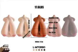 LTorso-12.jpg.webp