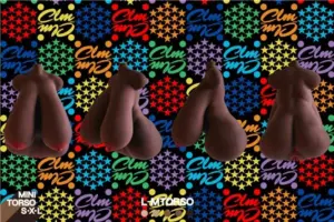 LTorso-24.jpg.webp