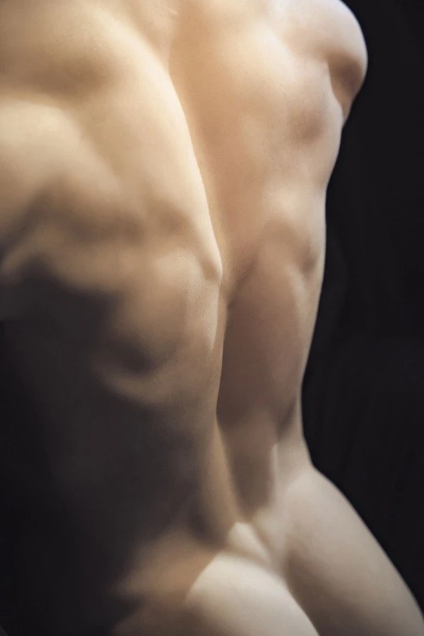 Muscular Asian Male Sex Doll Torso Brian 82cm