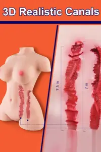 Sex-Doll-Torso-17-4.jpg.webp