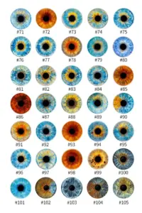 Style-3.jpg.webp