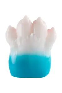 paw-6.jpg.webp